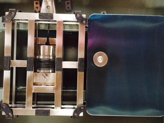 Stainless Steel Digital Bench Scales