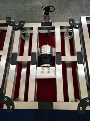 Stainless Steel Digital Bench Scales