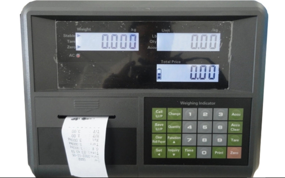 Plastic Housing Yaohua Weighing Indicator
